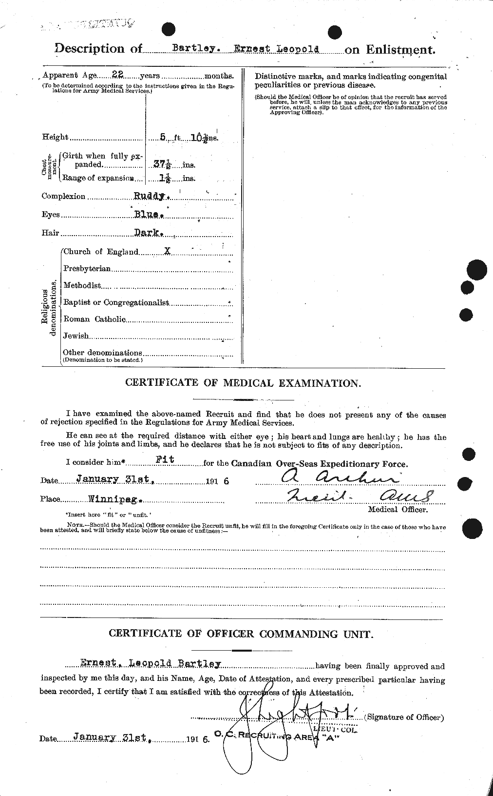 Personnel Records of the First World War - CEF 229382b