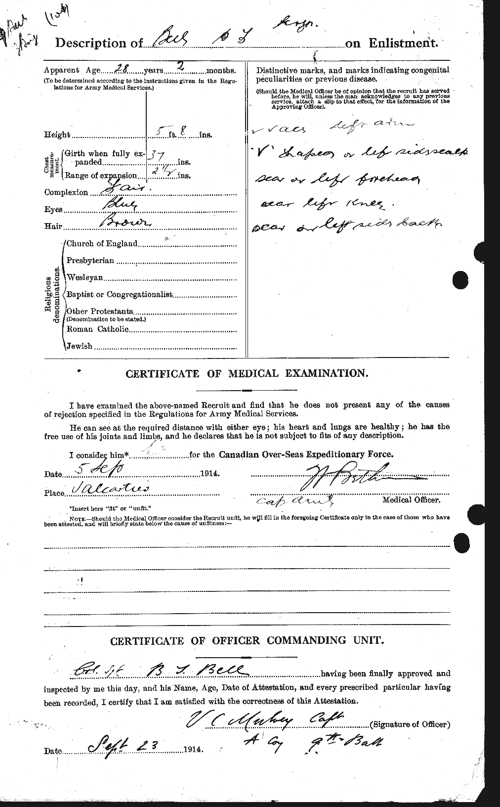 Personnel Records of the First World War - CEF 233904b