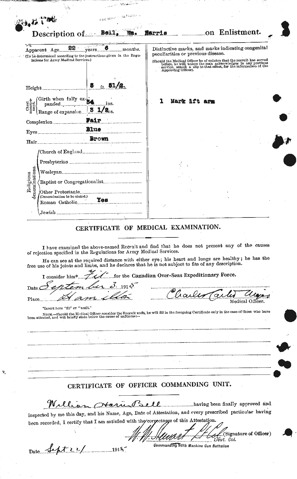 Personnel Records of the First World War - CEF 234887b