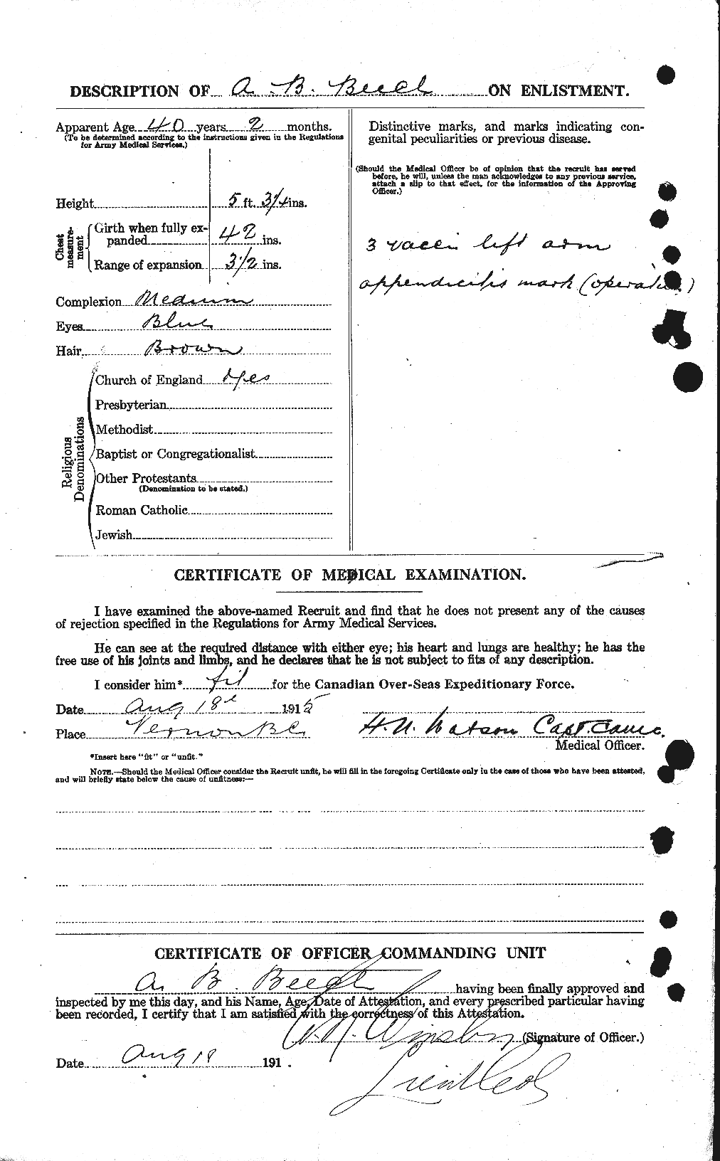 Personnel Records of the First World War - CEF 236310b