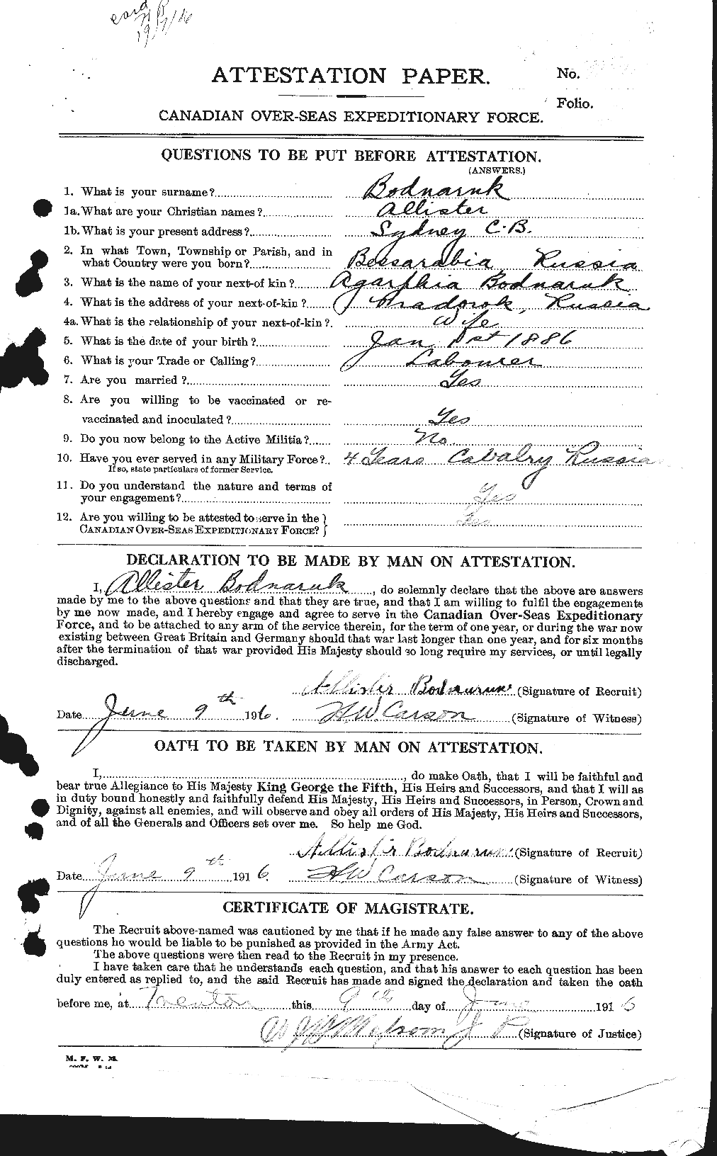 Personnel Records of the First World War - CEF 245133a