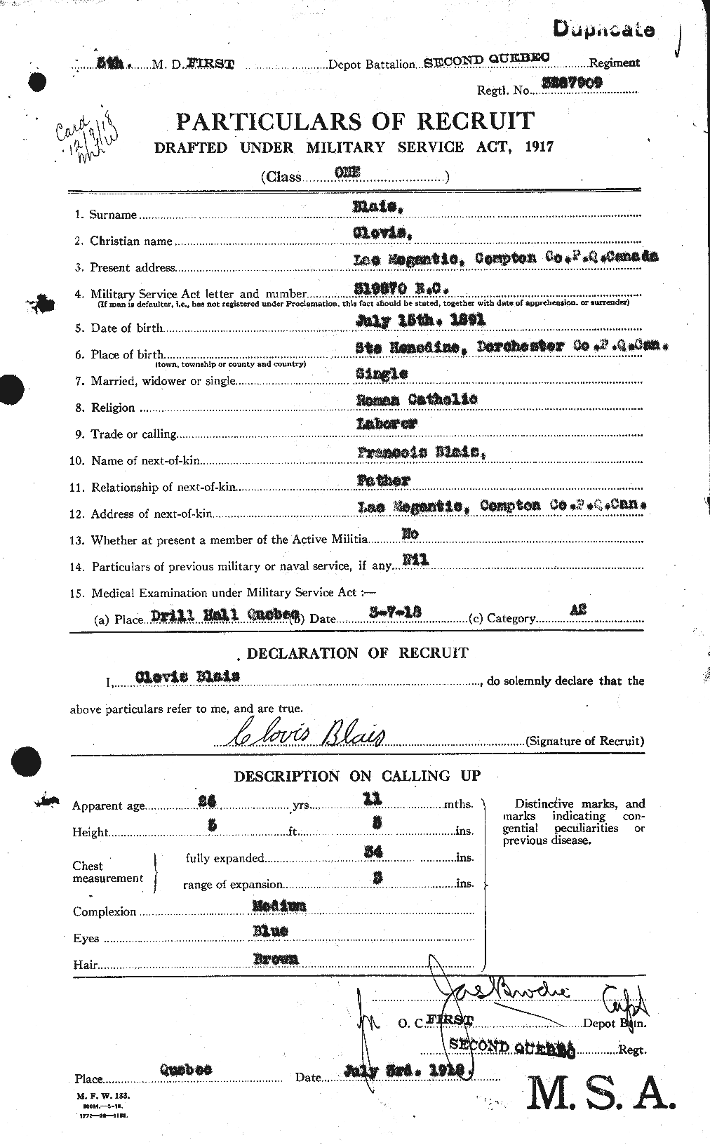 Personnel Records of the First World War - CEF 245391a