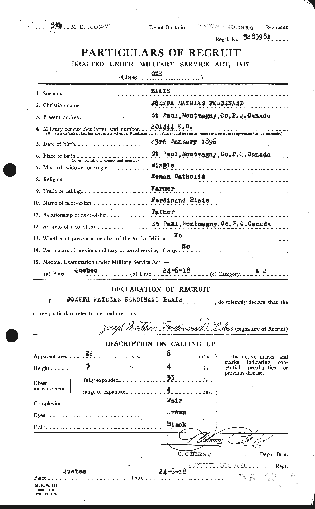 Personnel Records of the First World War - CEF 245488a
