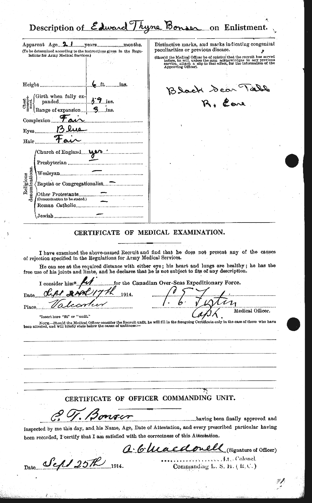 Personnel Records of the First World War - CEF 251162b