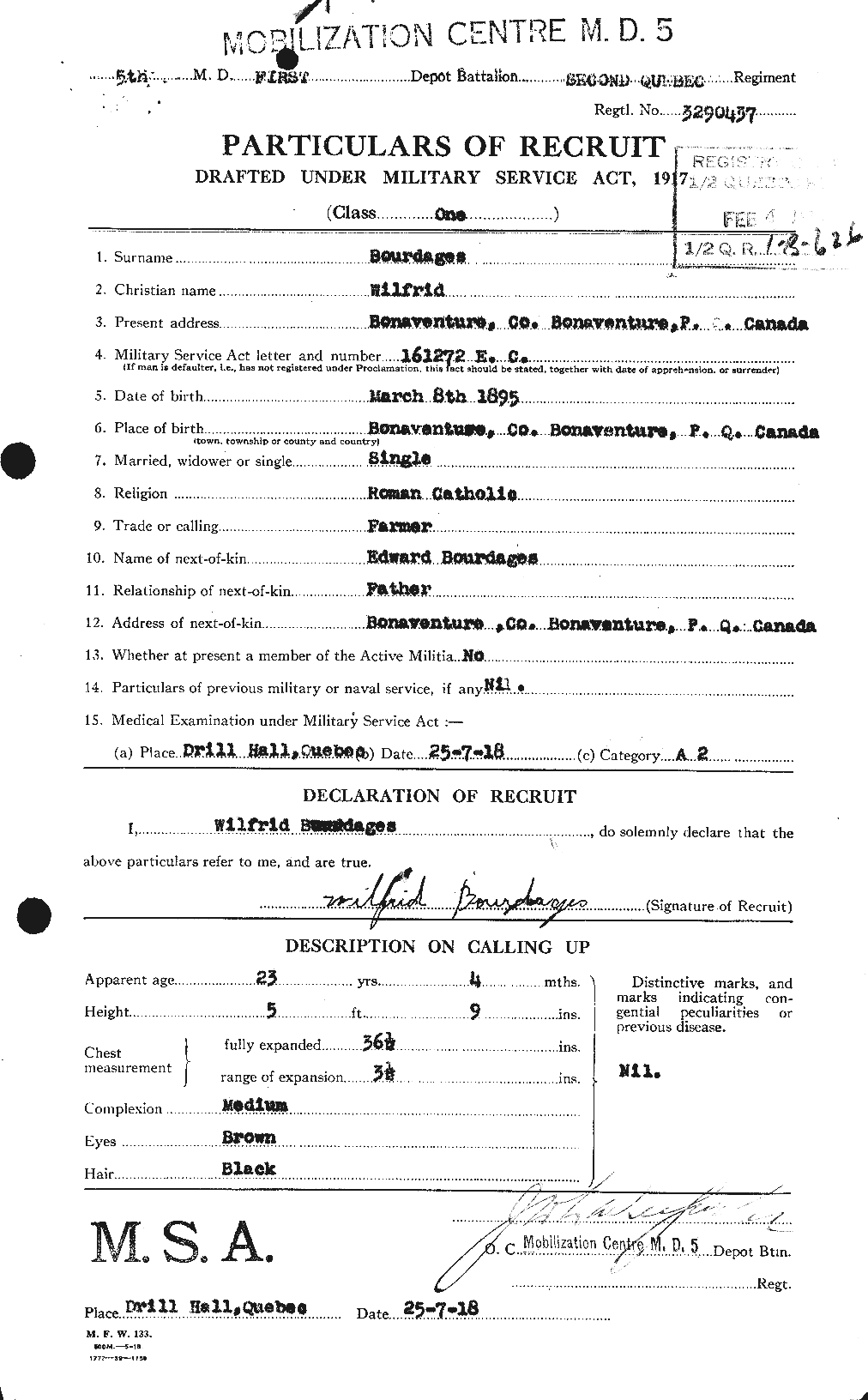 Personnel Records of the First World War - CEF 253313a
