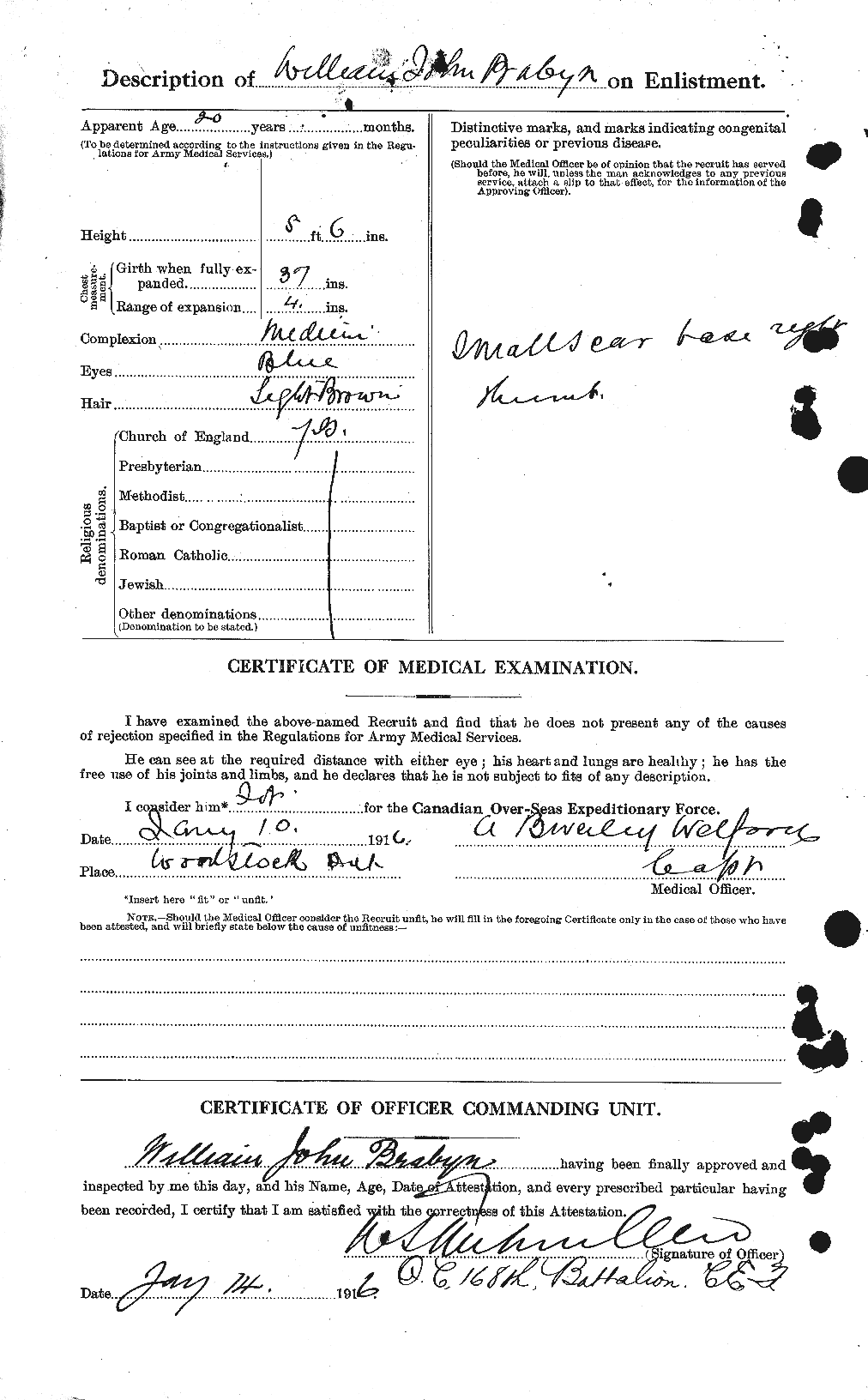 Personnel Records of the First World War - CEF 254639b