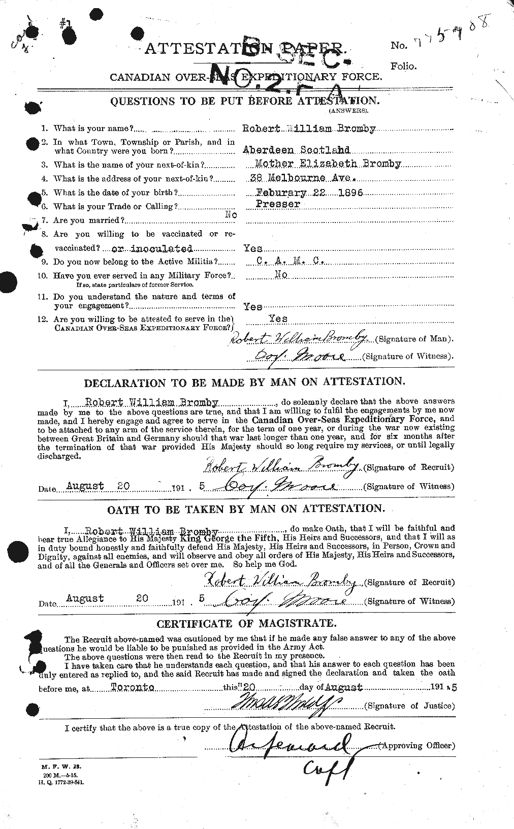 Personnel Records of the First World War - CEF 262133a