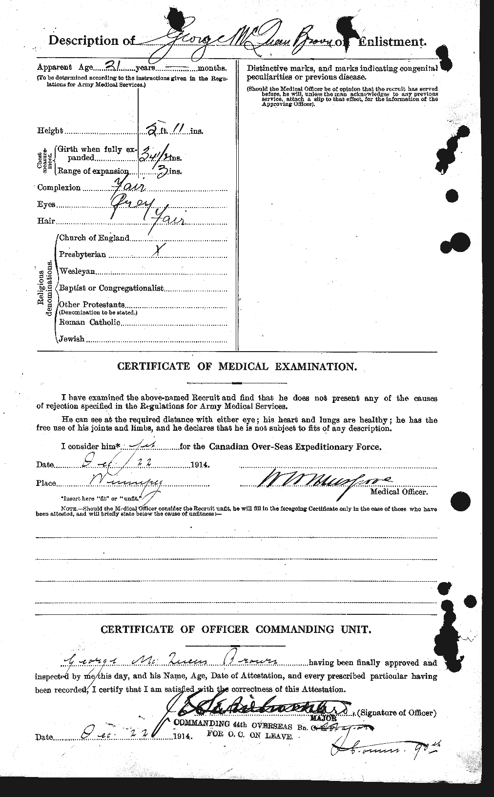 Personnel Records of the First World War - CEF 262558b