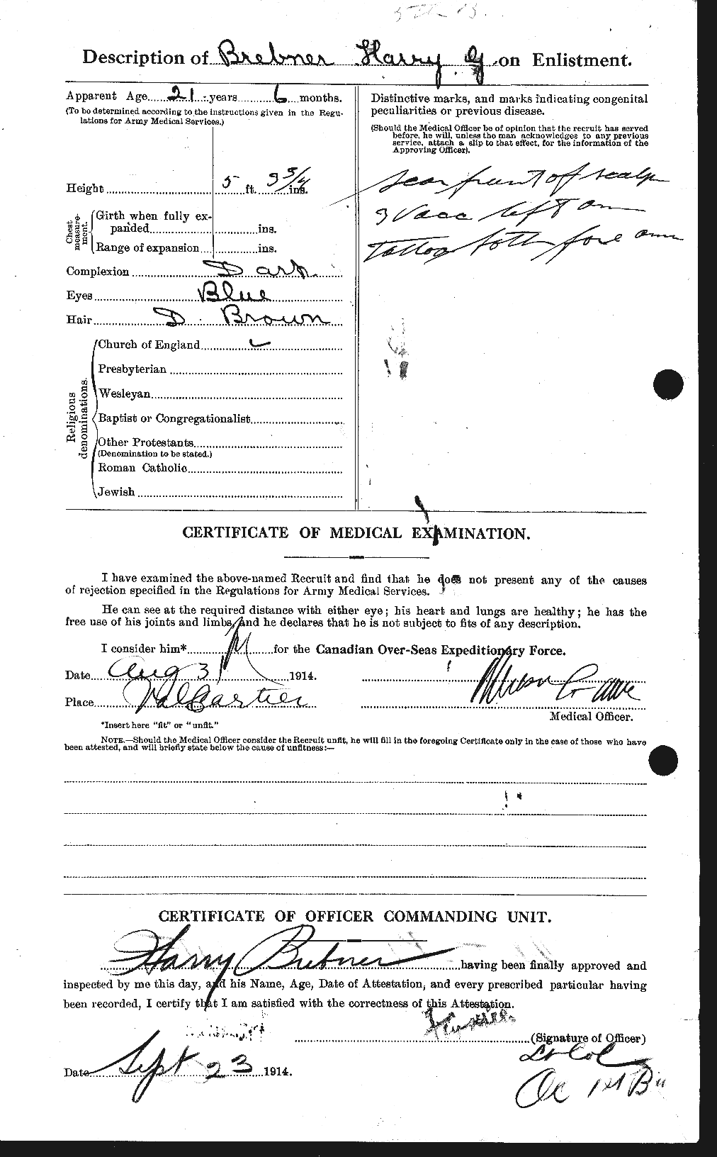 Personnel Records of the First World War - CEF 262843b