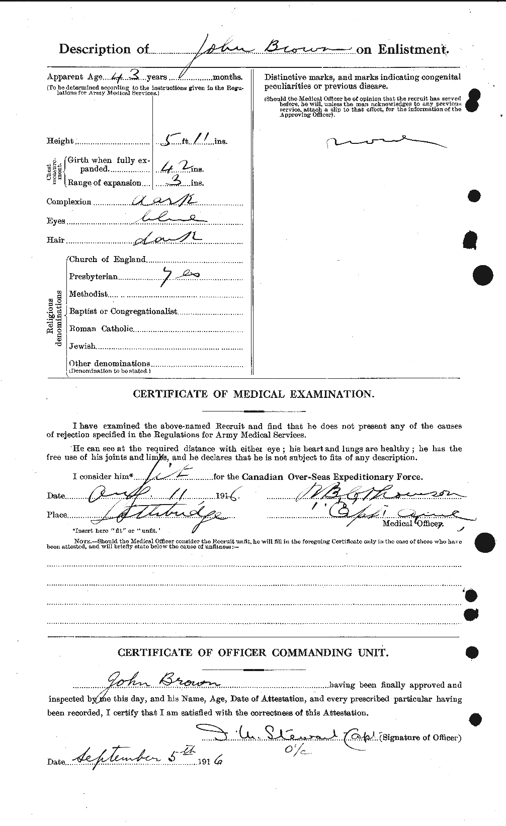 Personnel Records of the First World War - CEF 264551b