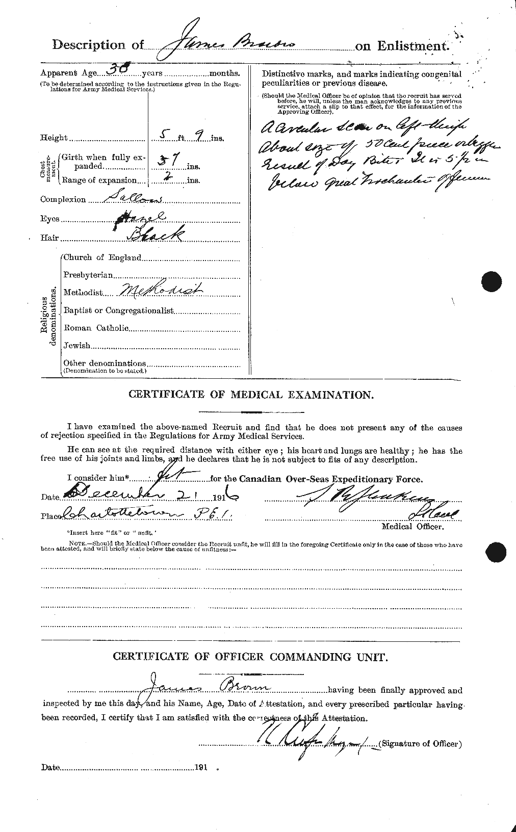 Personnel Records of the First World War - CEF 265736b