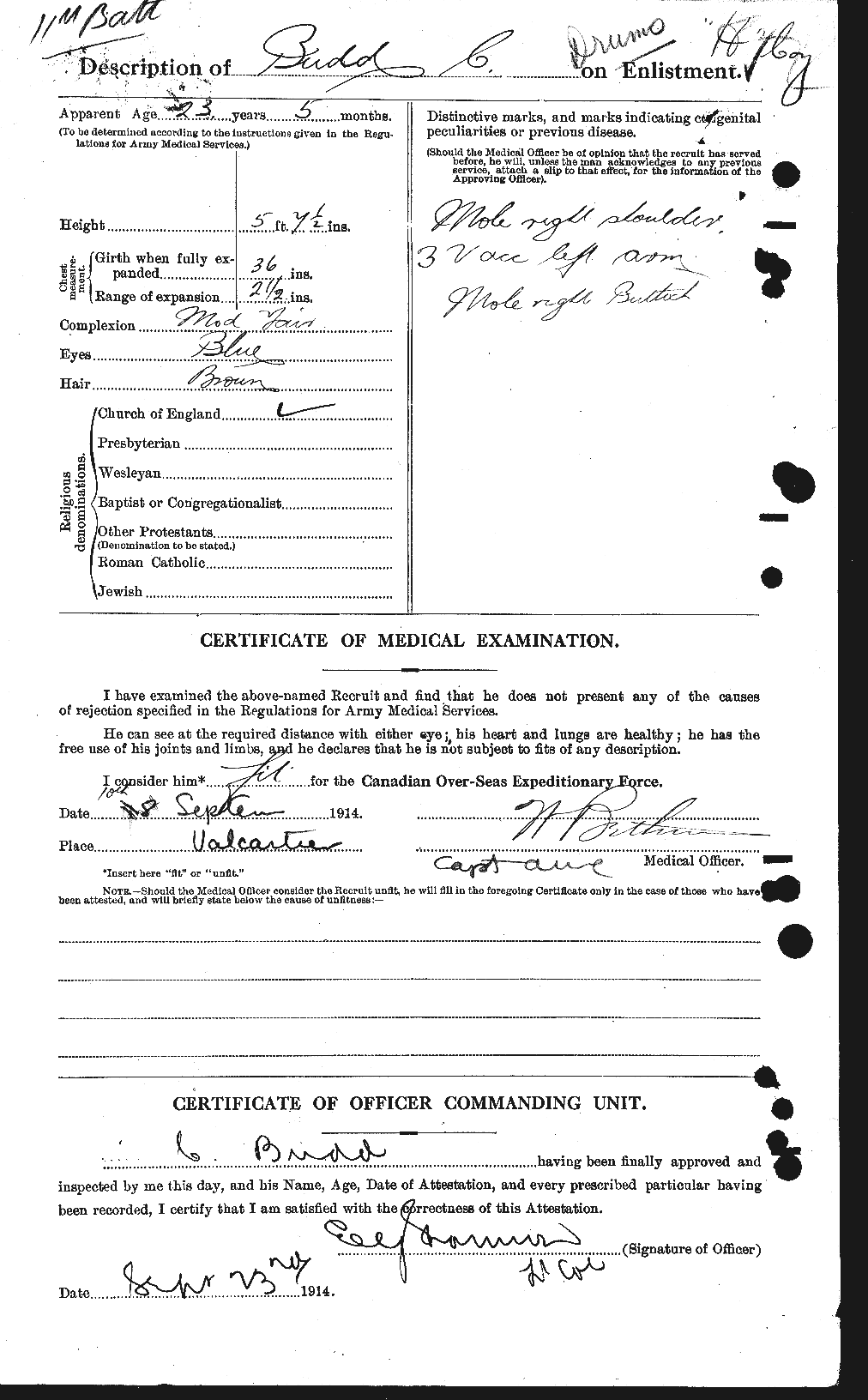 Personnel Records of the First World War - CEF 271288b