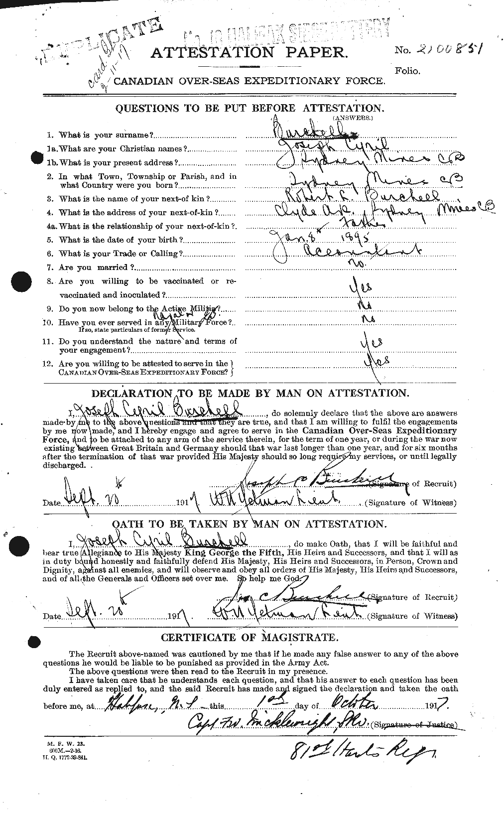 Personnel Records of the First World War - CEF 273155a