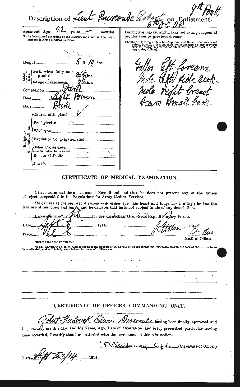 Personnel Records of the First World War - CEF 274310b