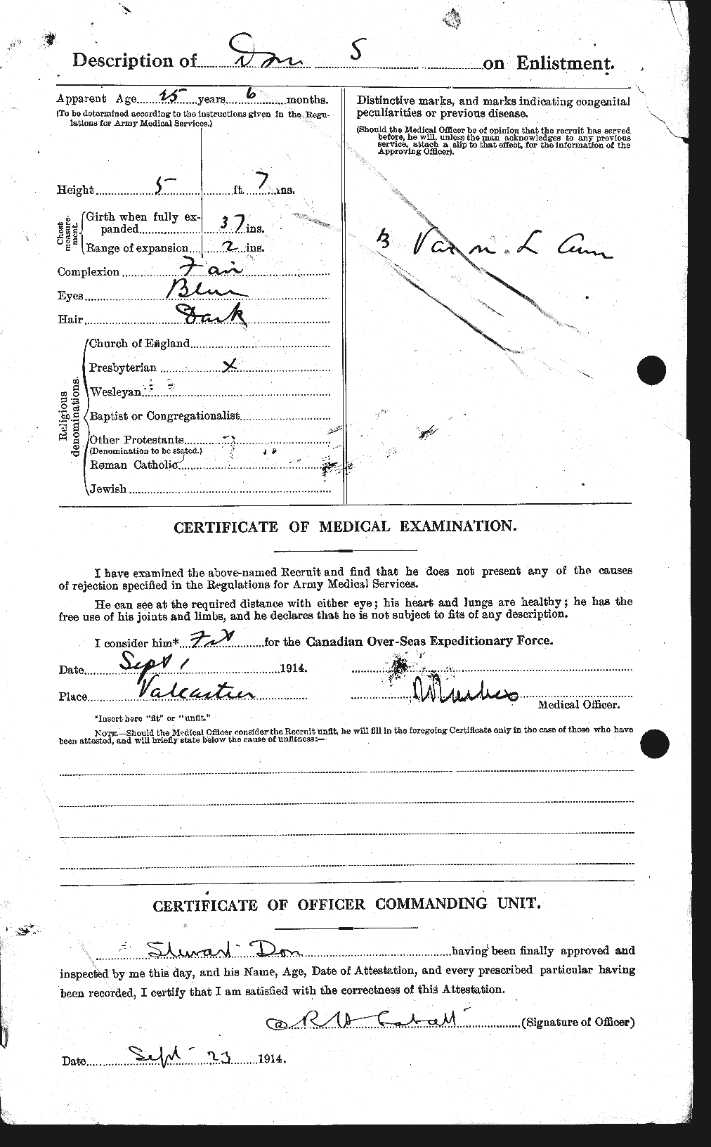 Personnel Records of the First World War - CEF 295594b