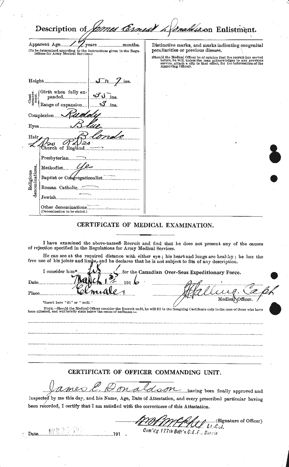 Personnel Records of the First World War - CEF 295962b