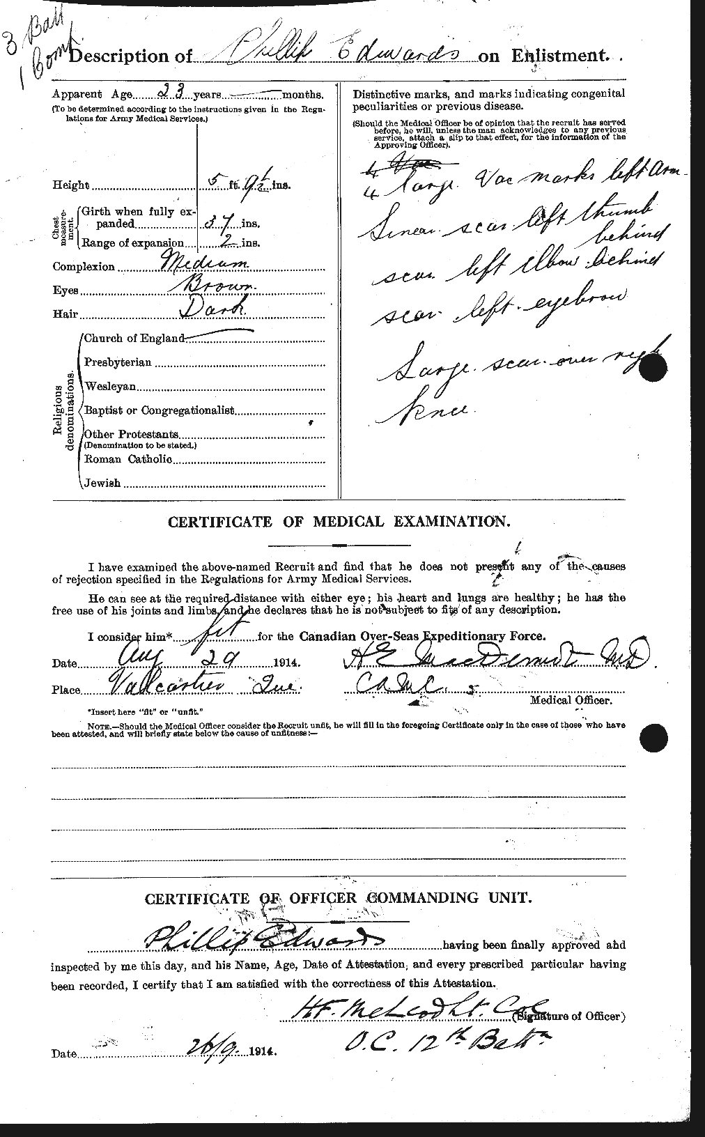 Personnel Records of the First World War - CEF 310242b