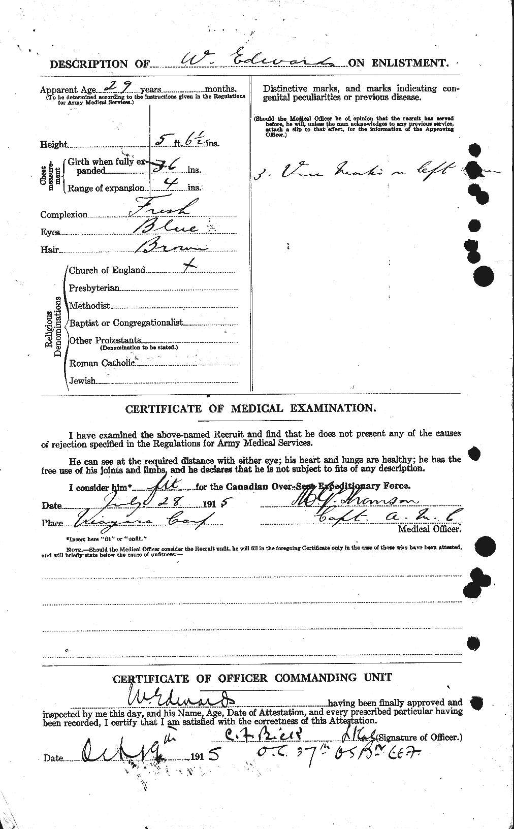 Personnel Records of the First World War - CEF 310364b