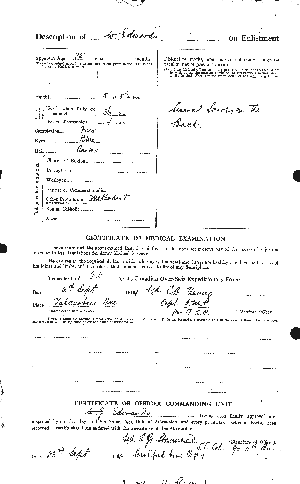 Personnel Records of the First World War - CEF 311919b
