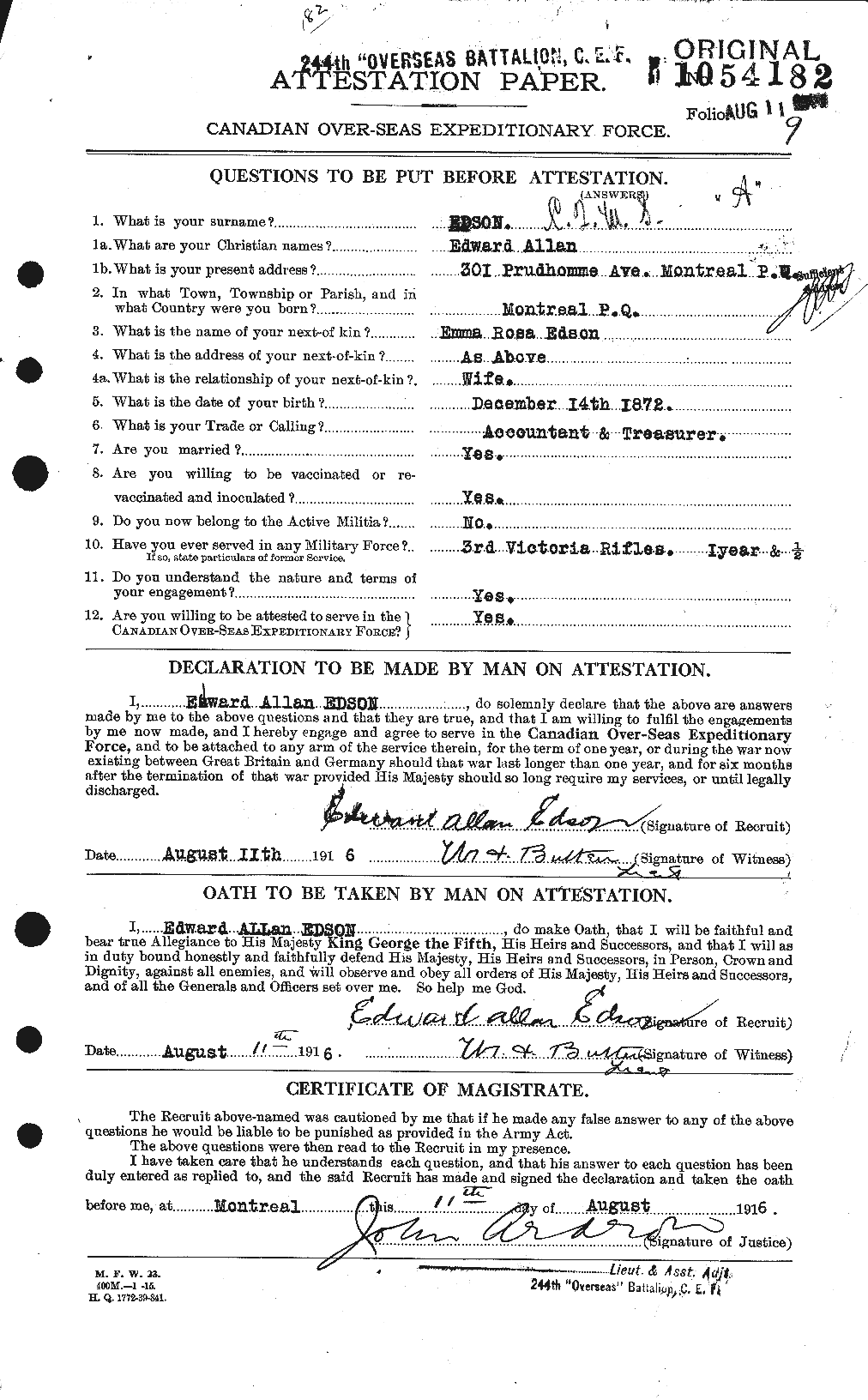 Personnel Records of the First World War - CEF 313033a