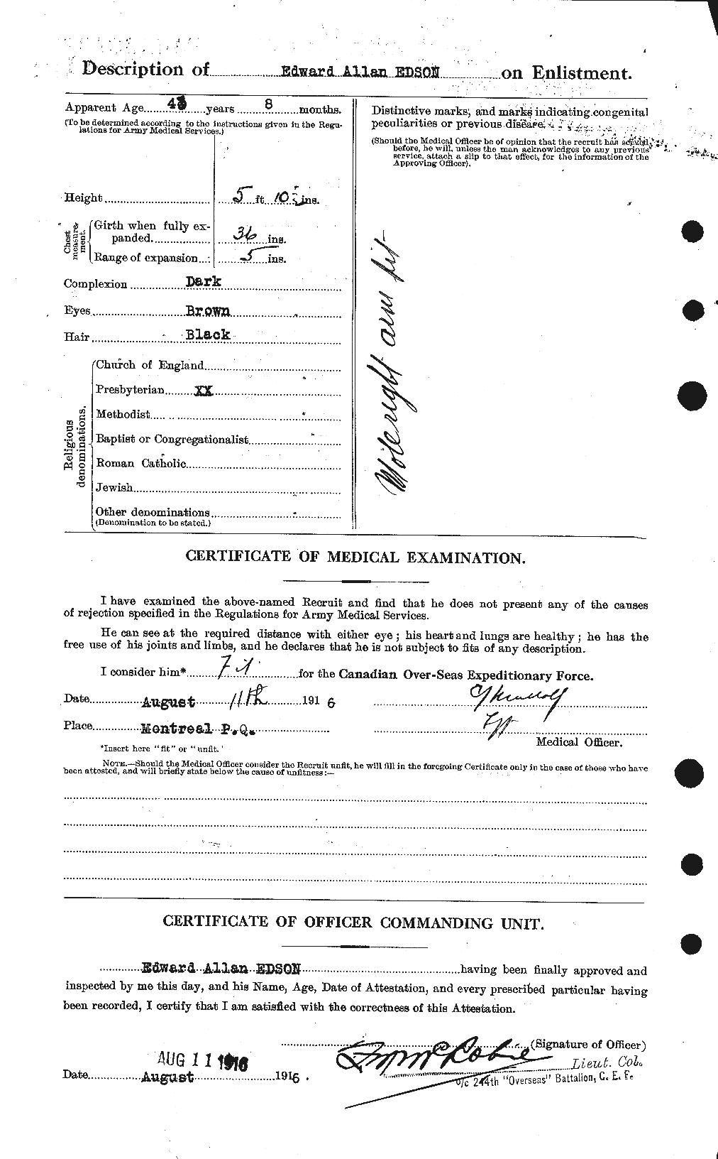 Personnel Records of the First World War - CEF 313033b