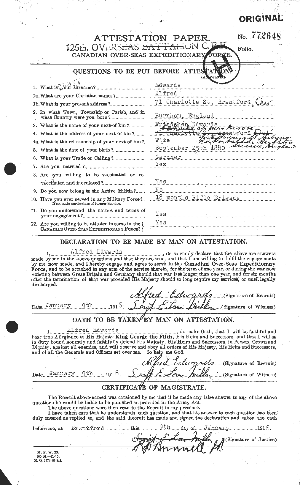 Personnel Records of the First World War - CEF 313101a