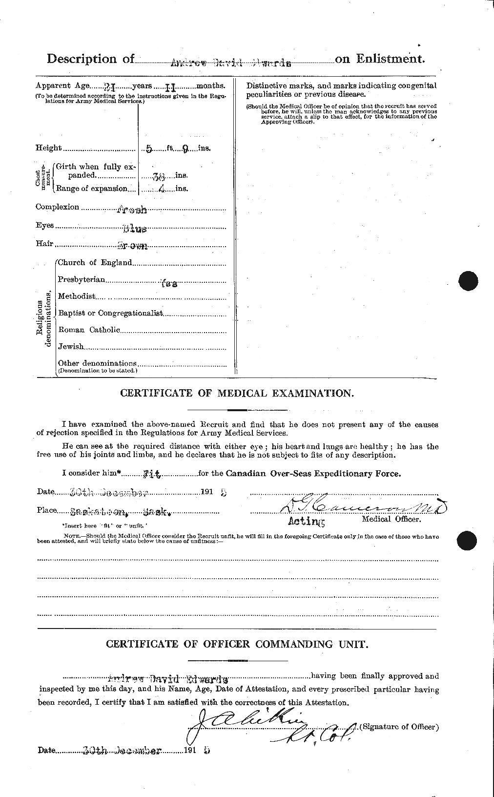 Personnel Records of the First World War - CEF 313117b