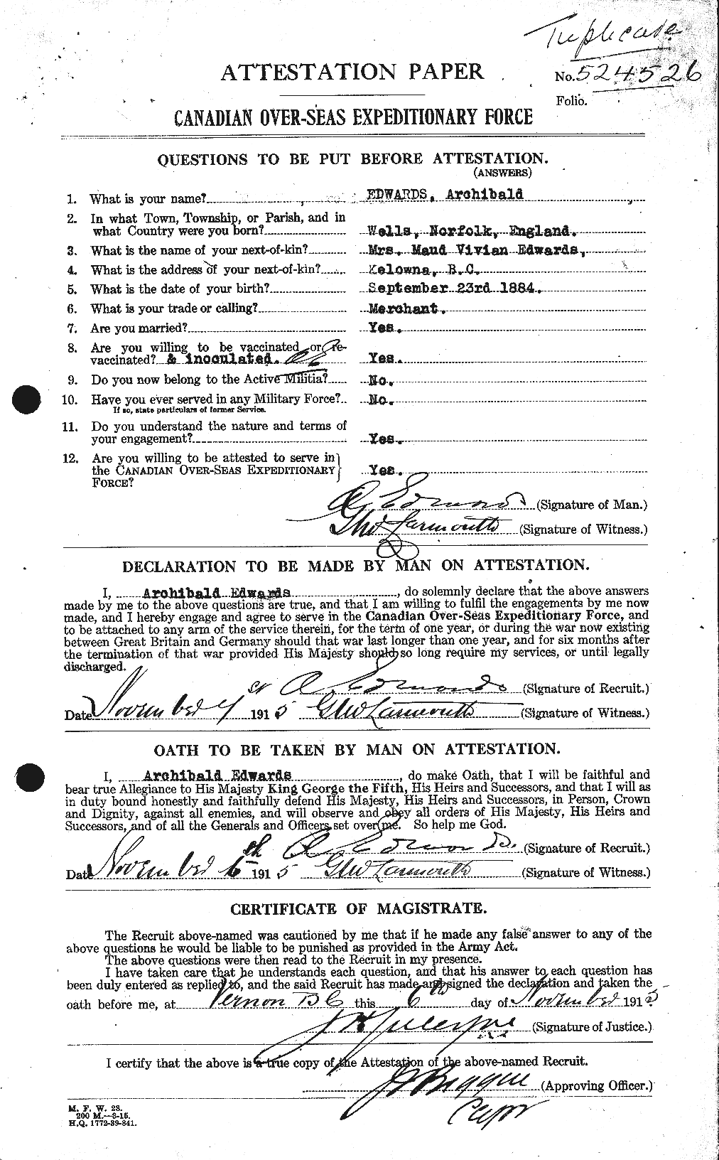 Personnel Records of the First World War - CEF 313119a