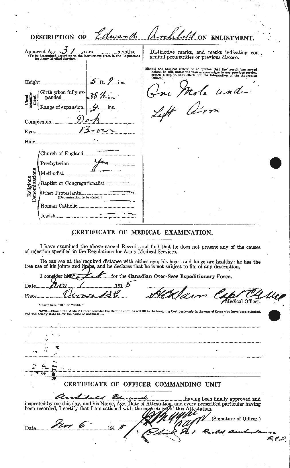 Personnel Records of the First World War - CEF 313119b