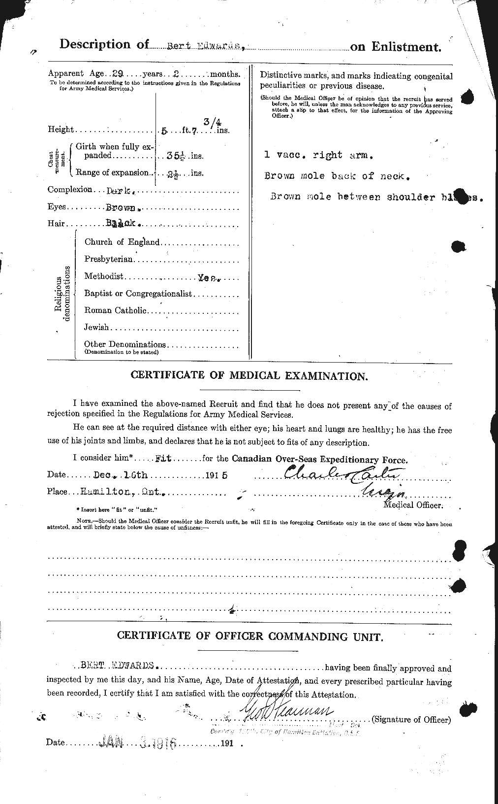 Personnel Records of the First World War - CEF 313148b