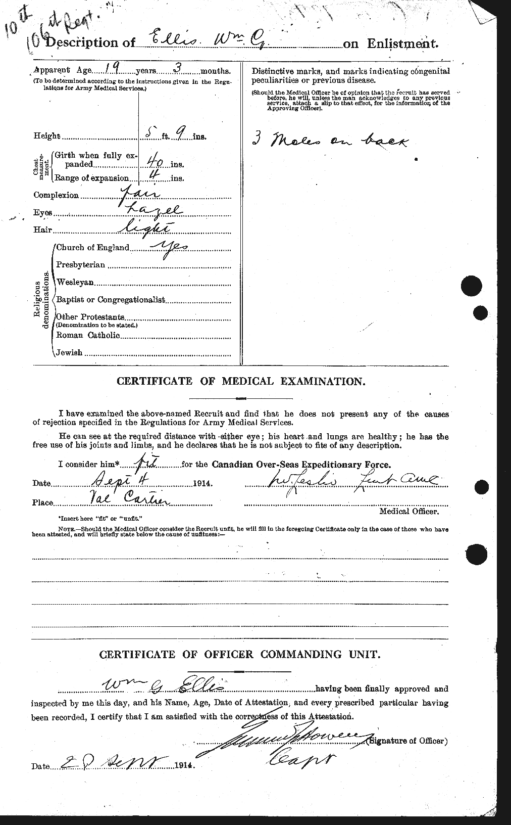 Personnel Records of the First World War - CEF 313696b