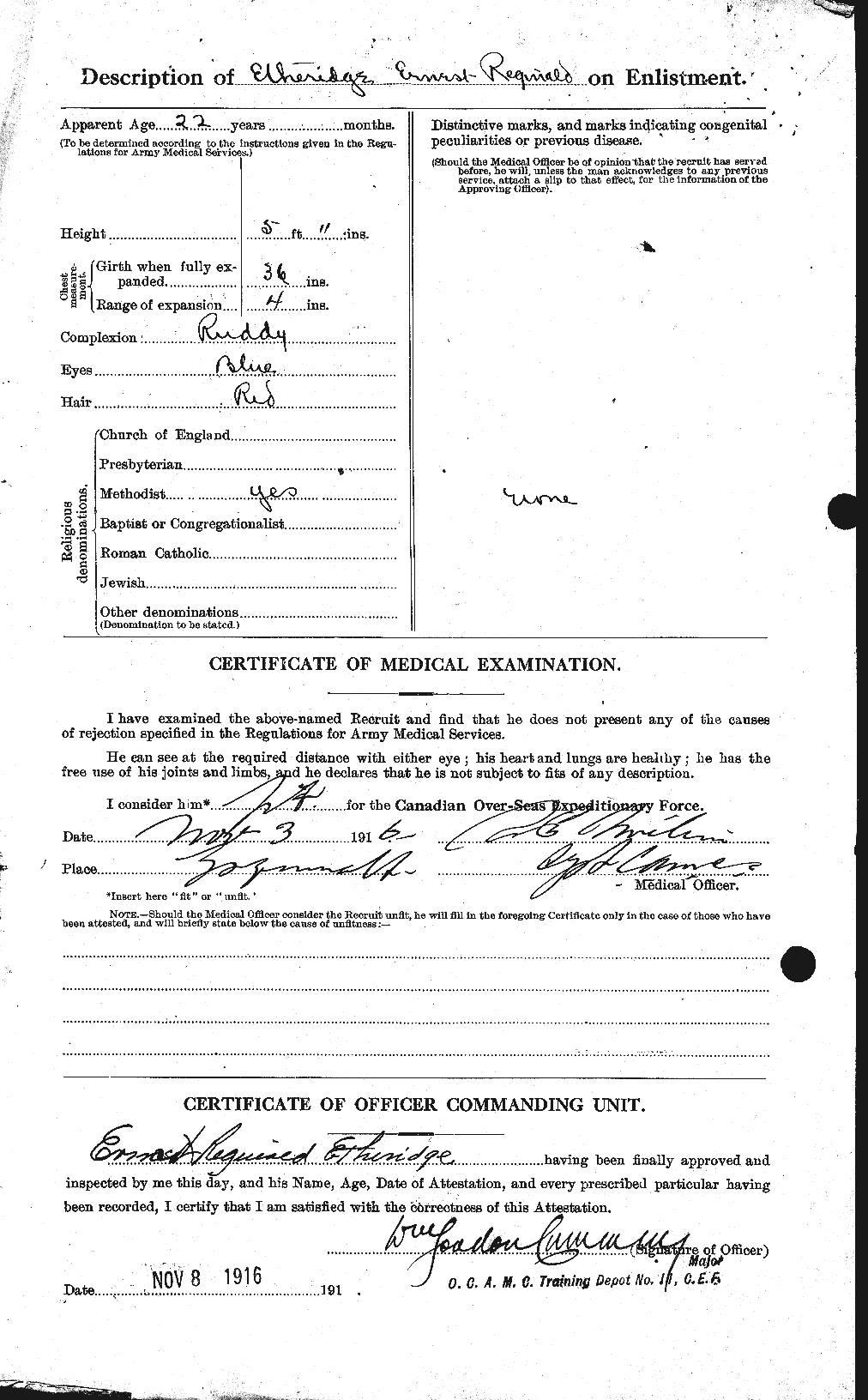 Personnel Records of the First World War - CEF 313738b