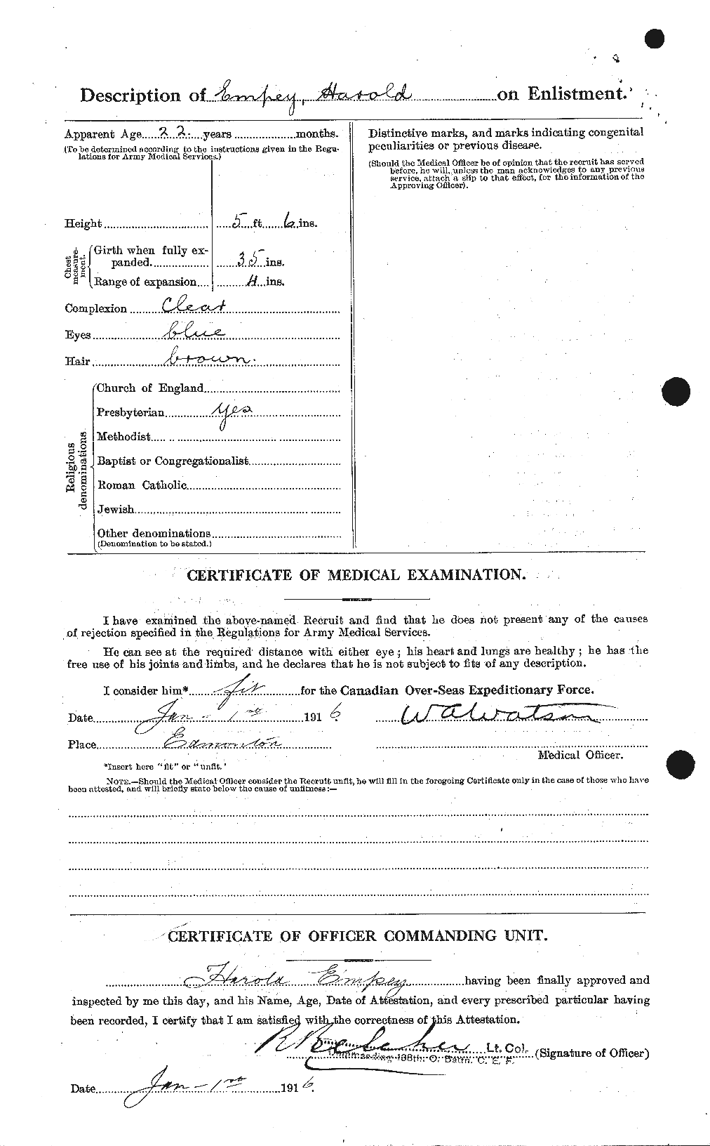 Personnel Records of the First World War - CEF 313819b