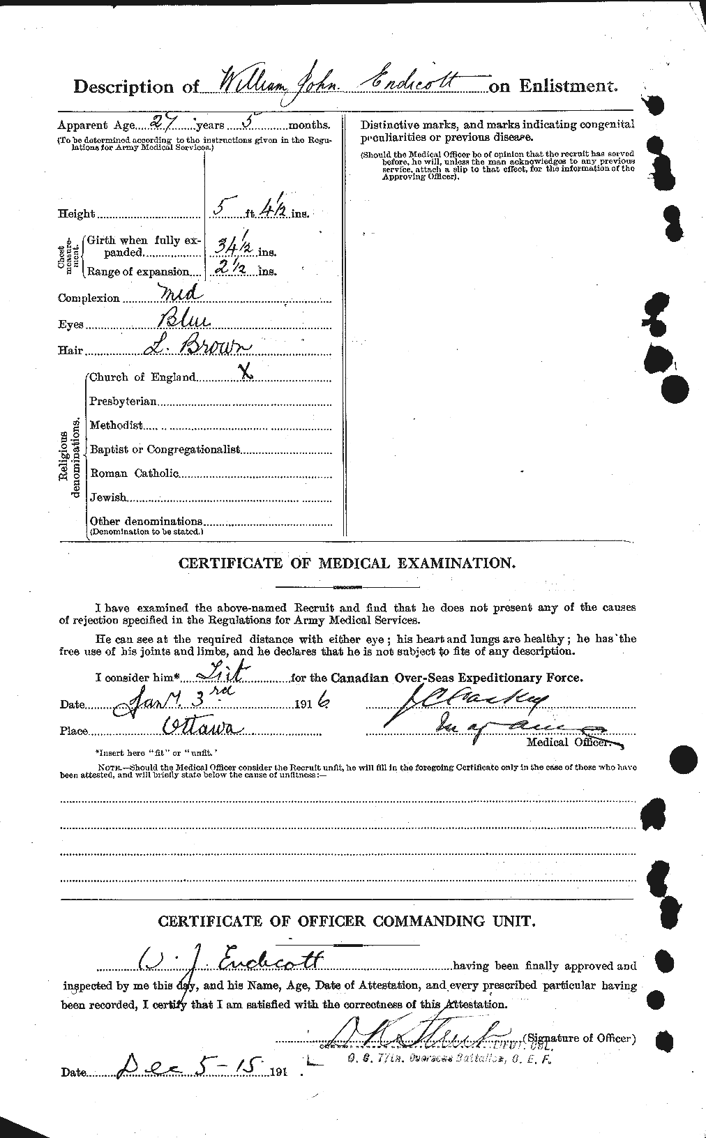 Personnel Records of the First World War - CEF 313925b
