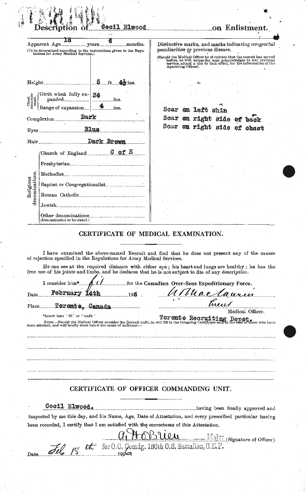 Personnel Records of the First World War - CEF 315003b