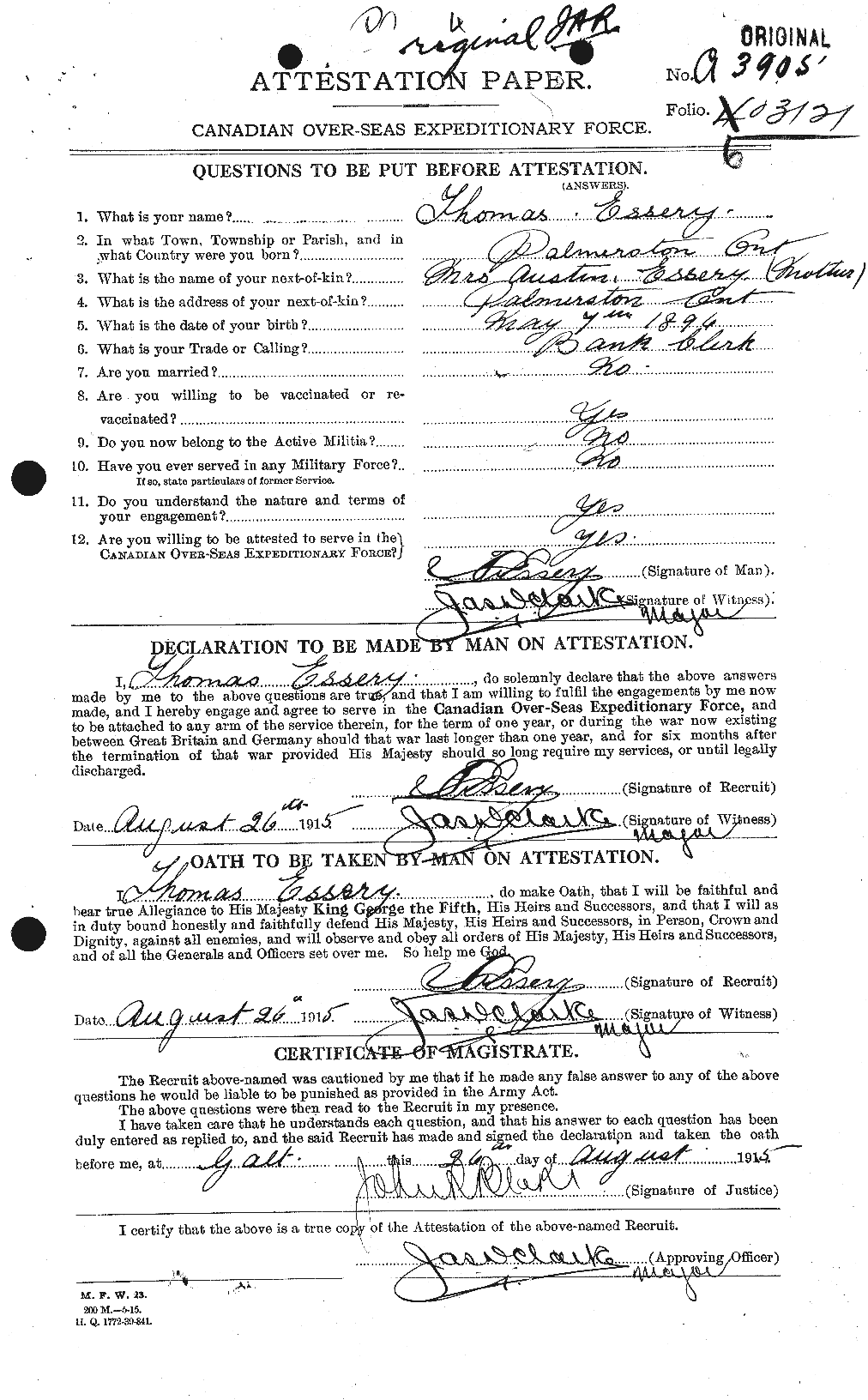 Personnel Records of the First World War - CEF 316678a
