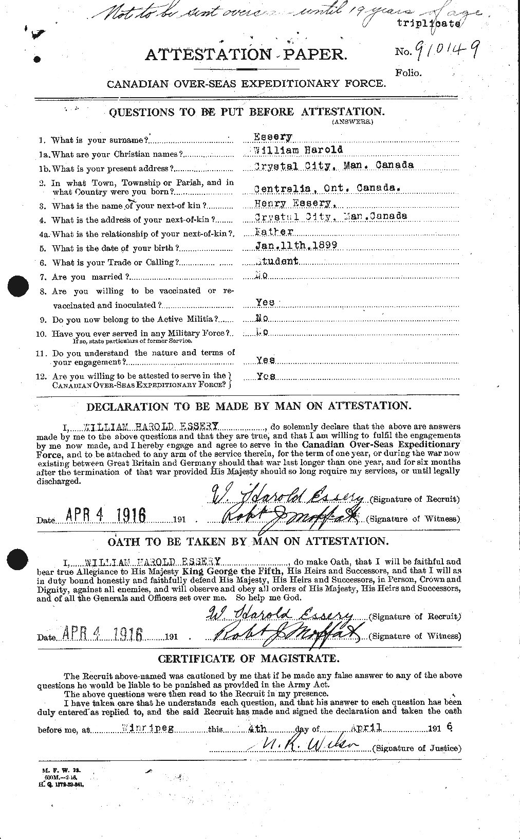 Personnel Records of the First World War - CEF 316681a