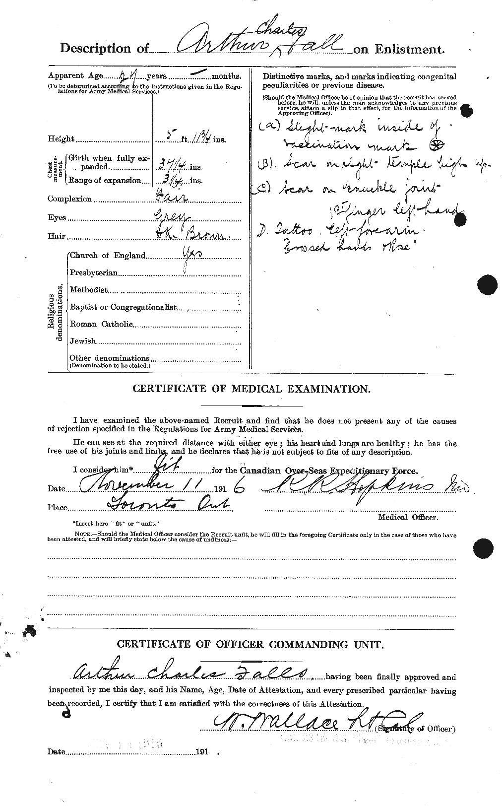 Personnel Records of the First World War - CEF 317081b