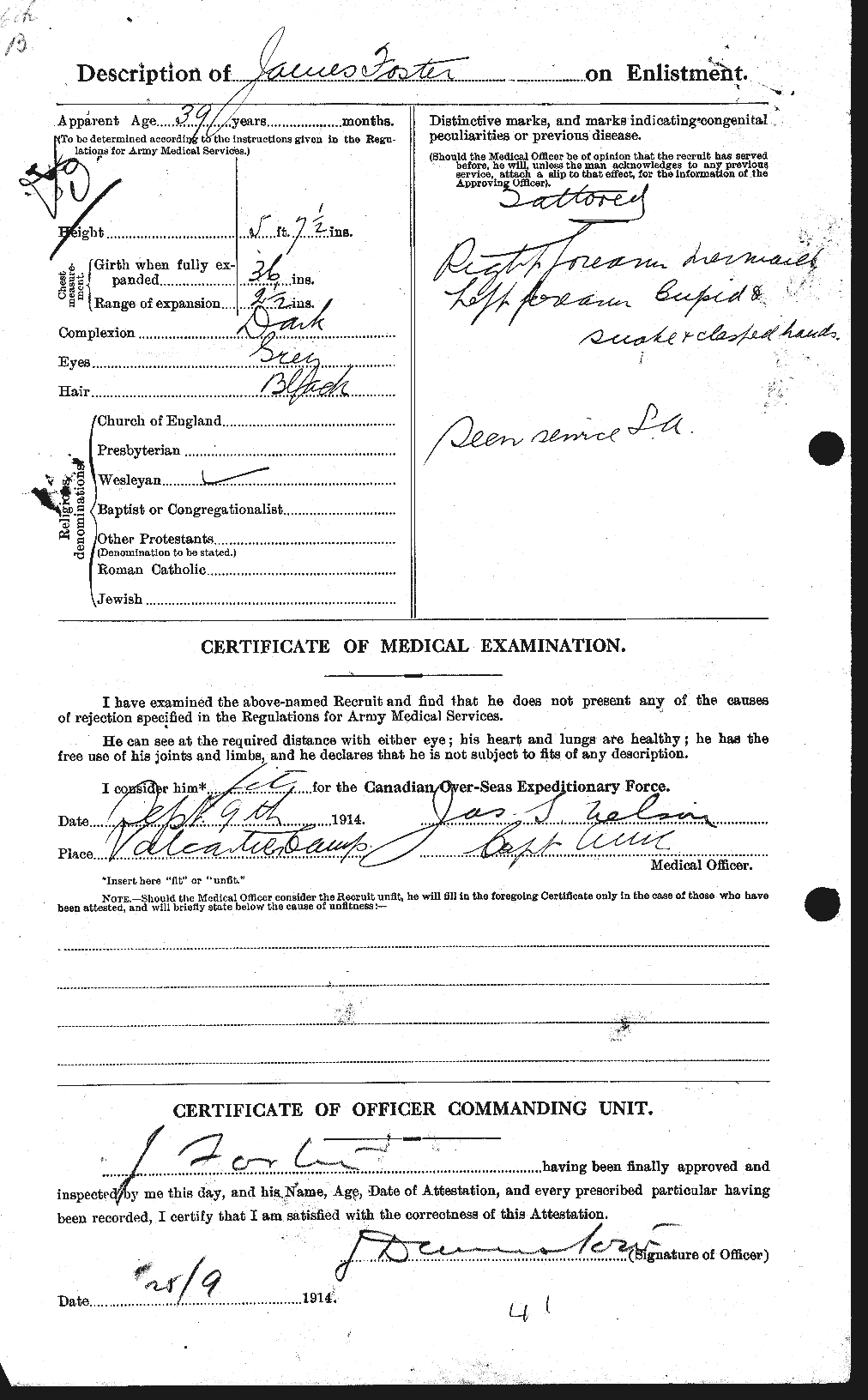 Personnel Records of the First World War - CEF 333282b