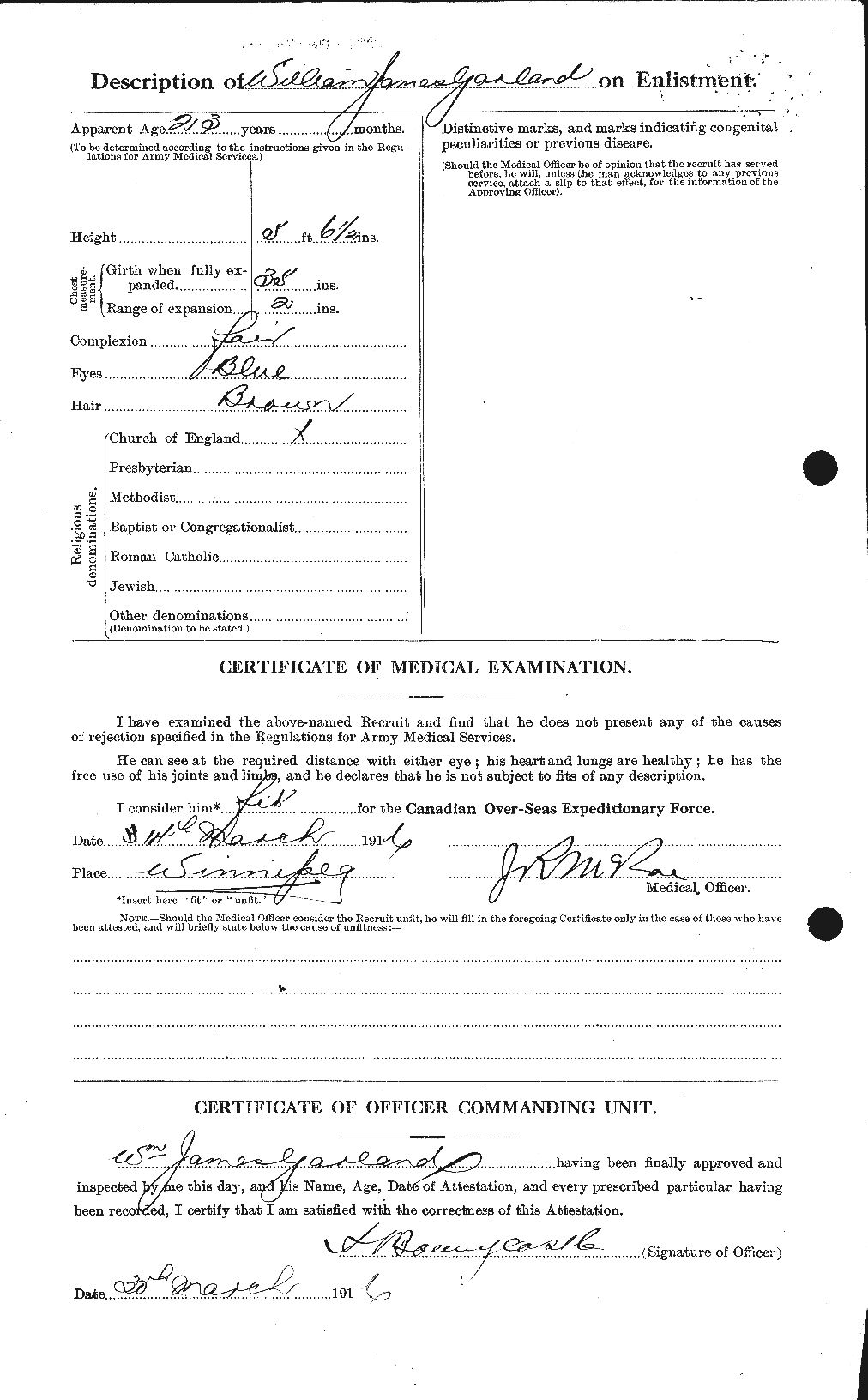 Personnel Records of the First World War - CEF 343995b