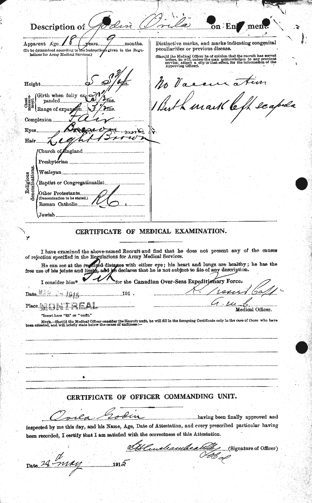 Personnel Records of the First World War - CEF 354562b