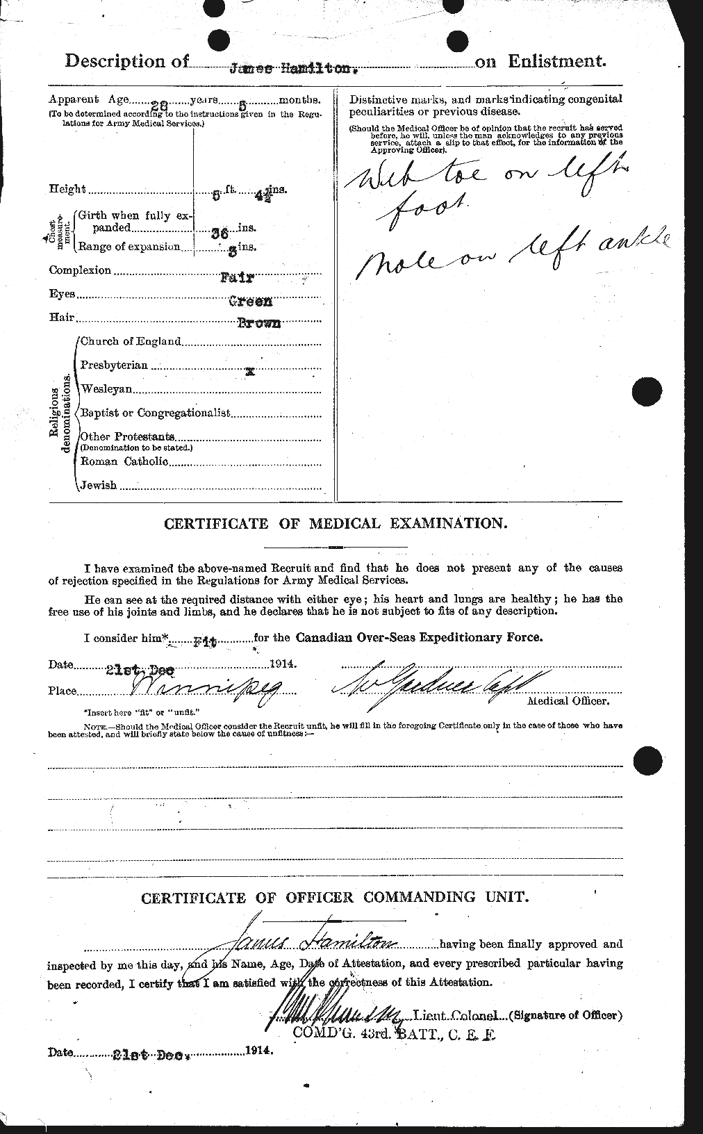 Personnel Records of the First World War - CEF 372937b