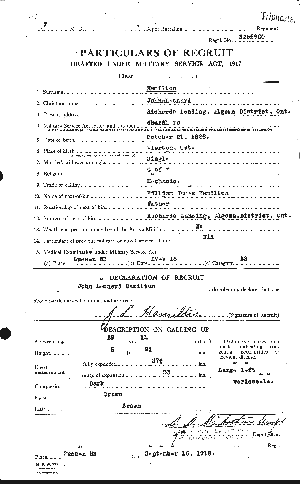 Personnel Records of the First World War - CEF 373099a