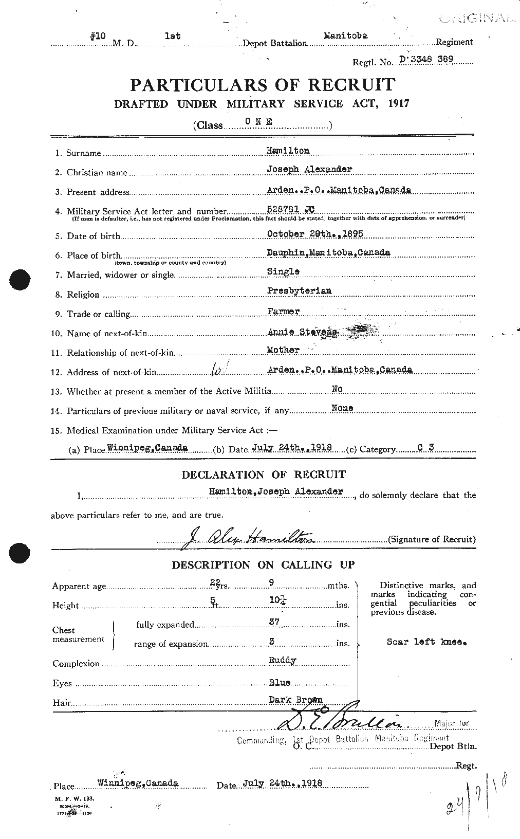 Personnel Records of the First World War - CEF 373139a