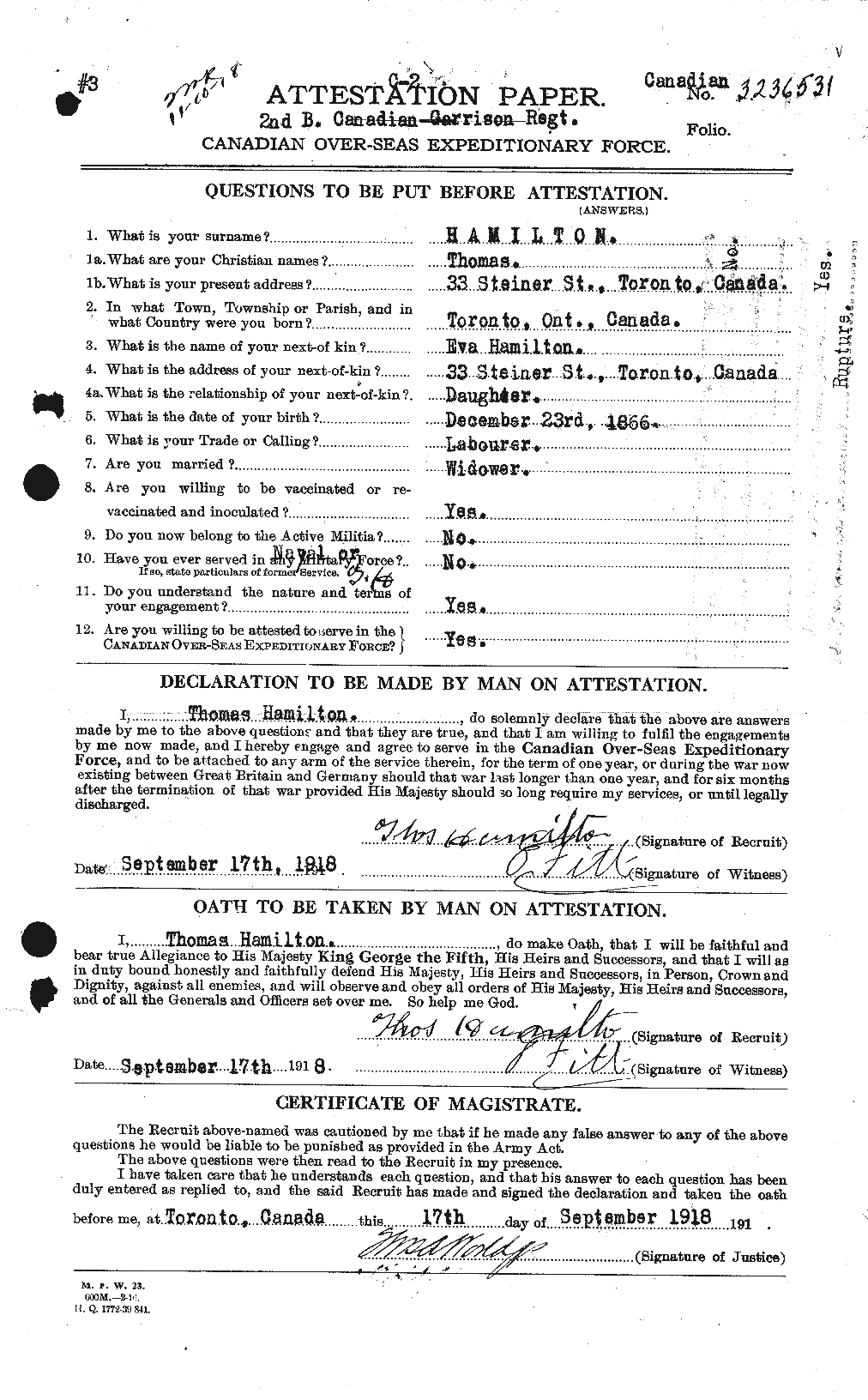 Personnel Records of the First World War - CEF 373334a