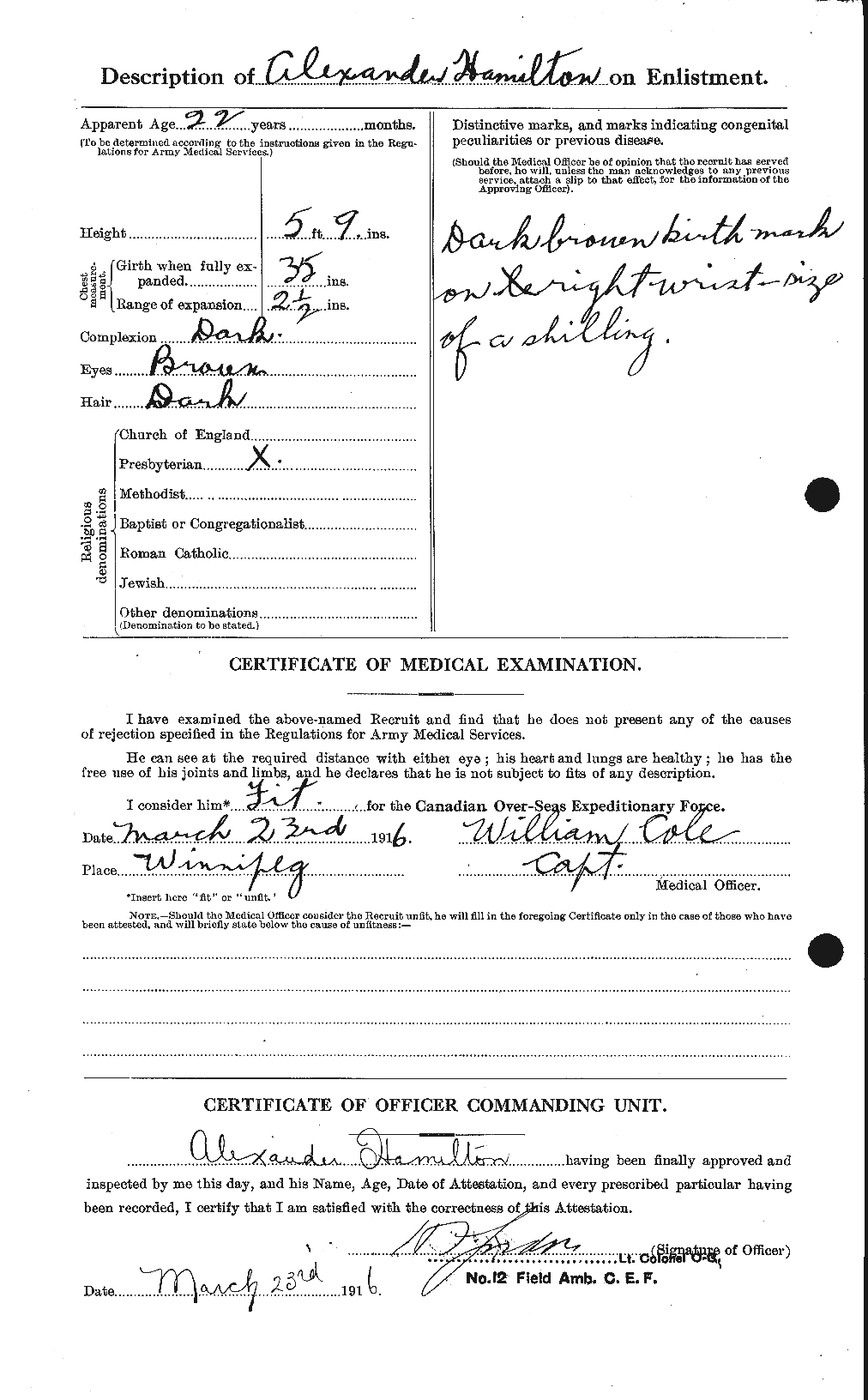 Personnel Records of the First World War - CEF 375188b