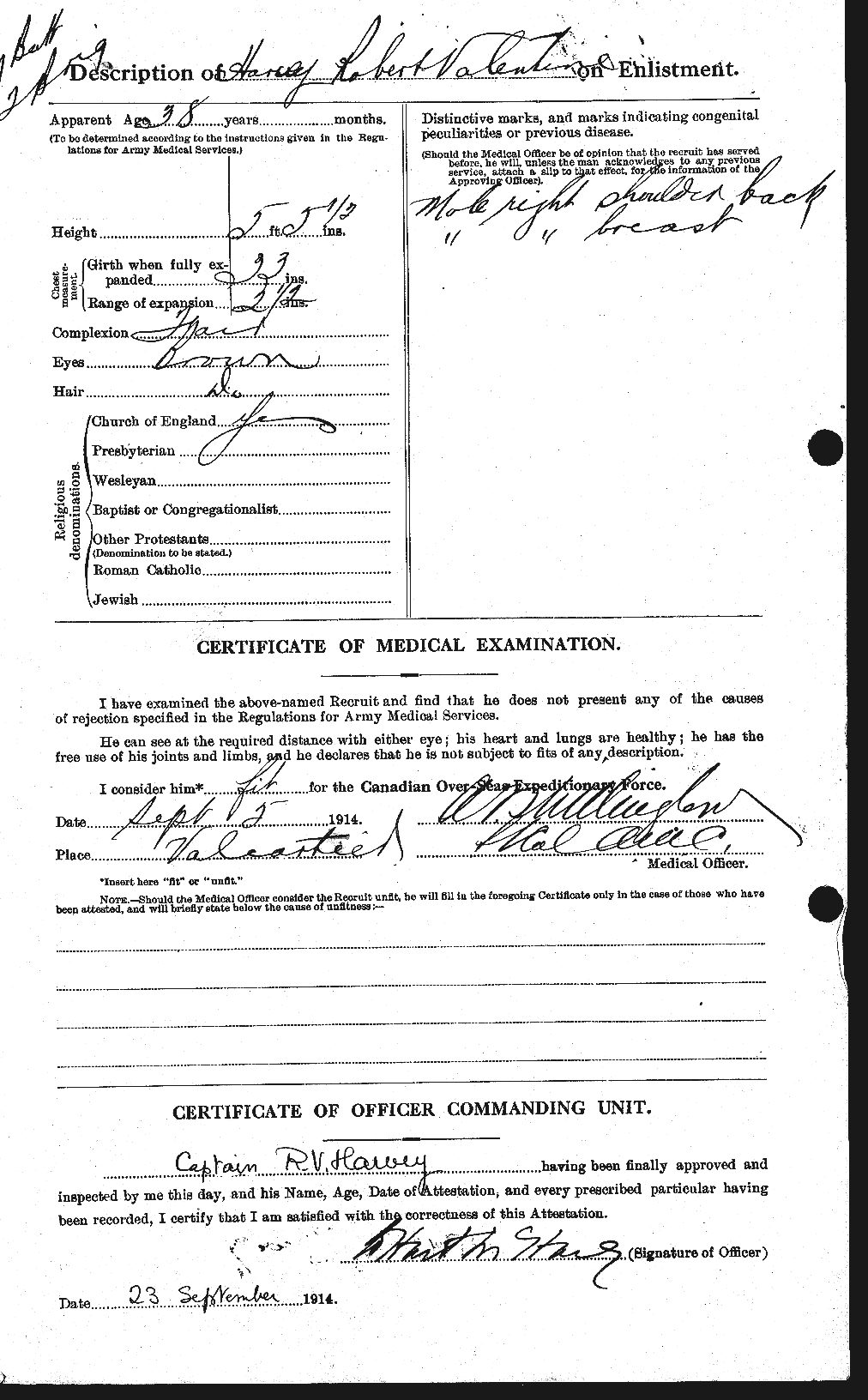 Personnel Records of the First World War - CEF 382146b