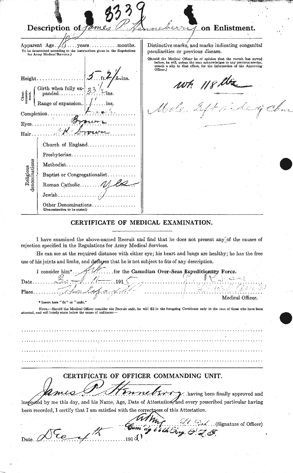 Personnel Records of the First World War - CEF 391456b
