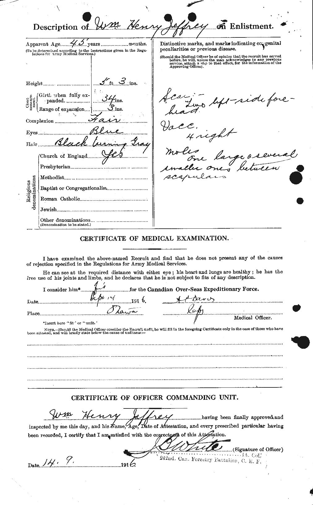 Personnel Records of the First World War - CEF 417813b