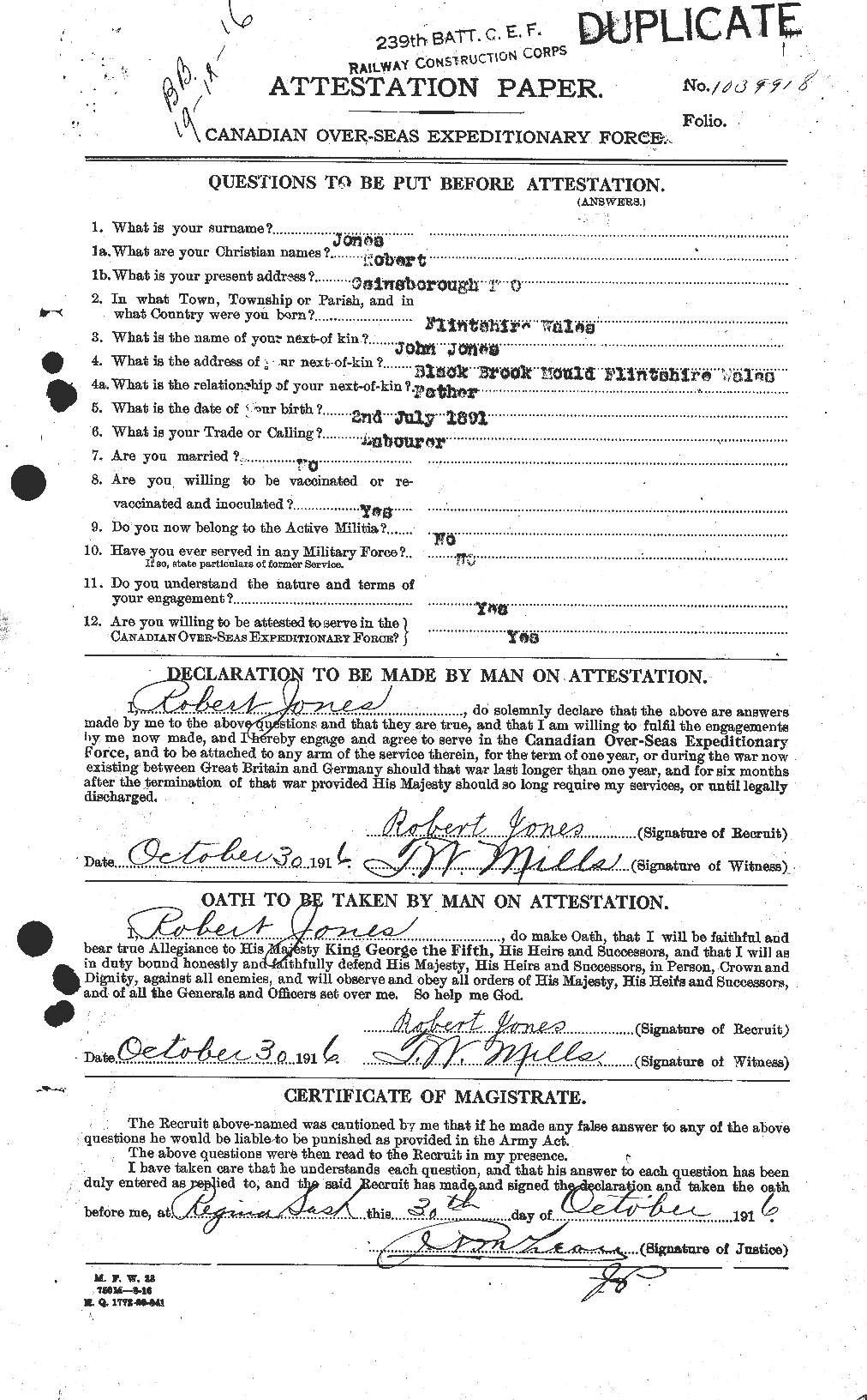 Personnel Records of the First World War - CEF 424920a